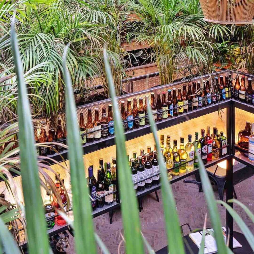 restaurantes en coyoacan escribo de viajes jupiter cerveceria