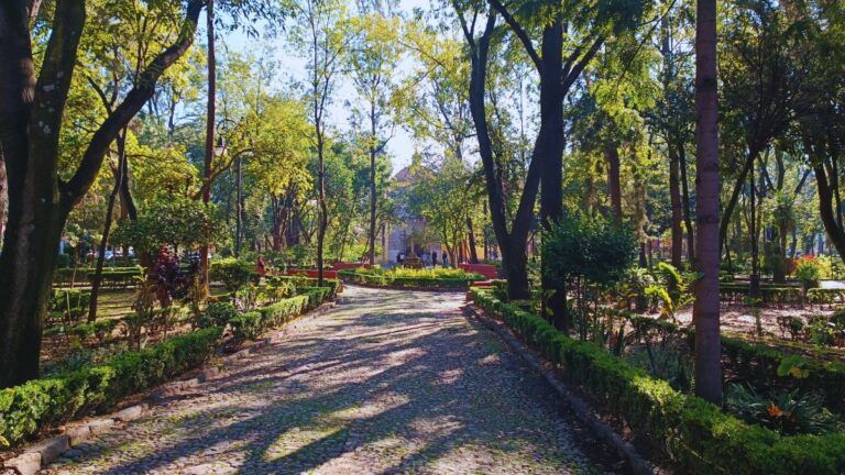 primer barrio de todo Mexico Coyoacan la Conchita