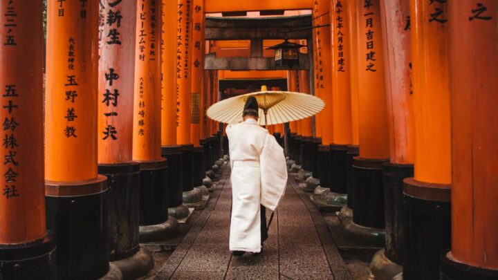 Viajar a Japón en 2024 es una maravillosa idea