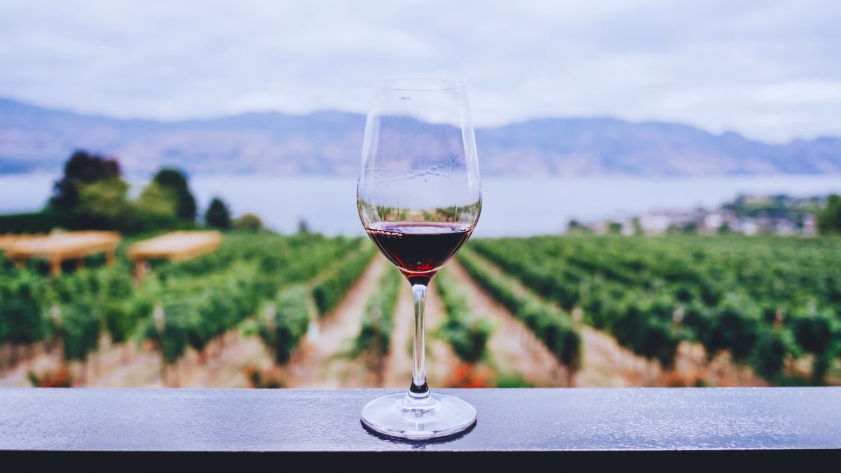 rutas de vino mexicano 2024 escribo de viajes