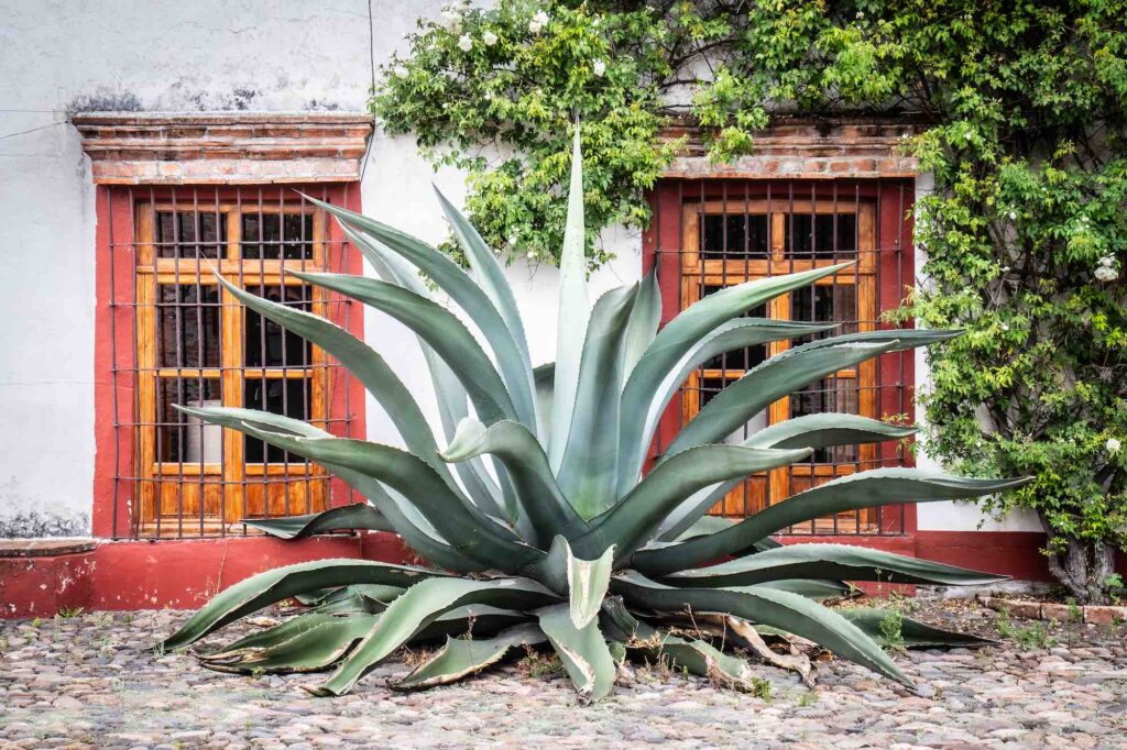 Haciendas de Tlaxcala, Santa María Xalostoc