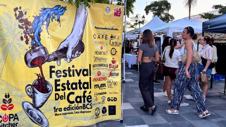 festival estatal del cafe bcs escribo de viajes